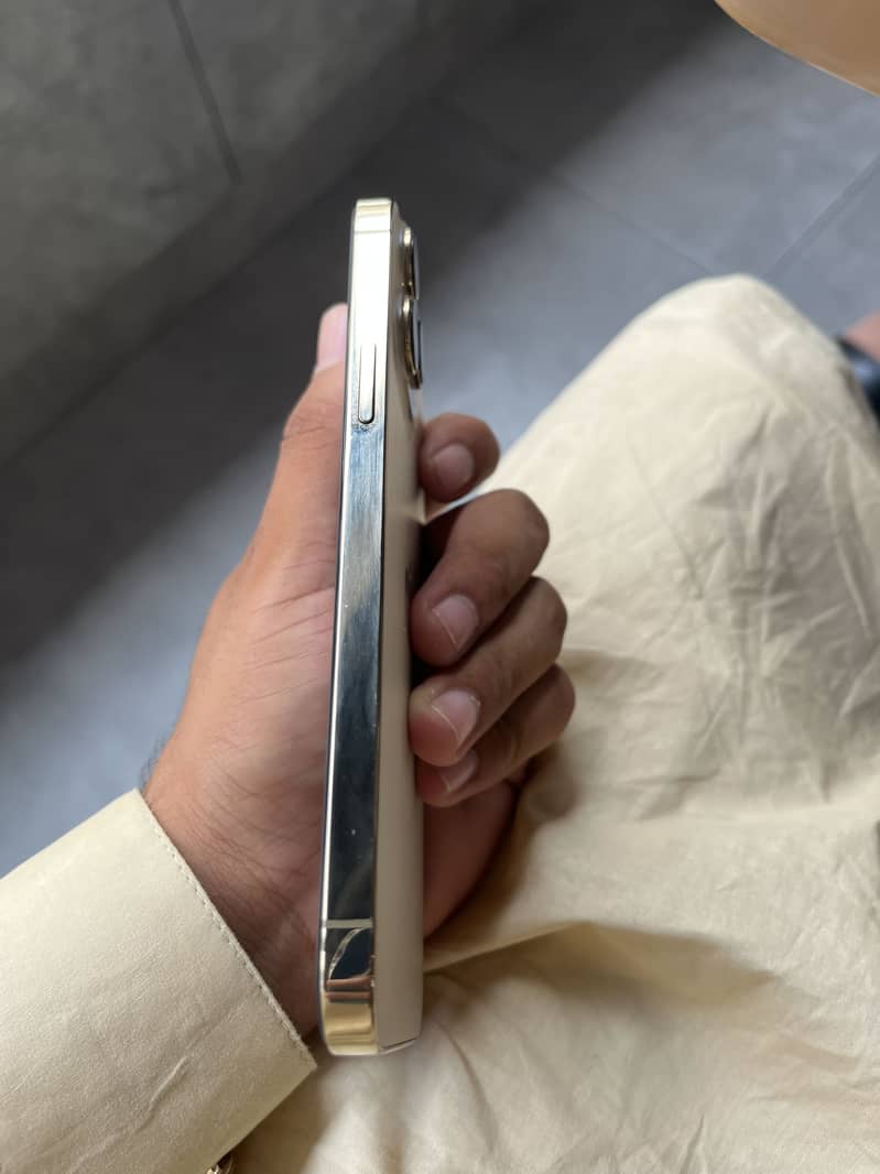 Apple iPhone 13 Pro Max 3