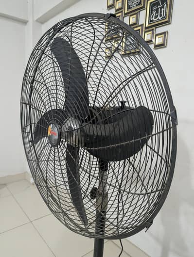 Royal Pedestal Fan 24" - Excellent Condition
