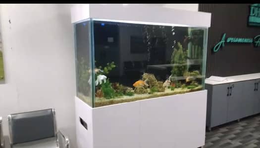 Fish aquarium
