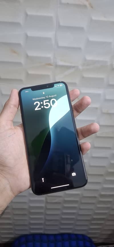 iPhone XS Max PTA Approved 512gb