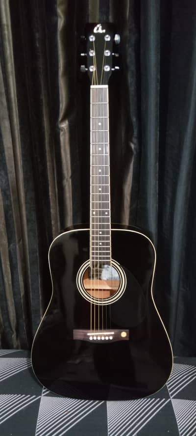 professional guitar