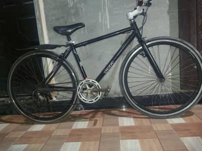 Raod bike (slim]