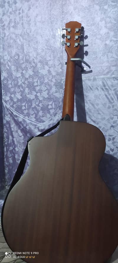 acoustic guitar professional