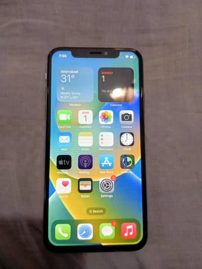 Apple iPhone X