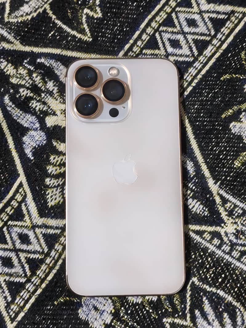 13 pro 1