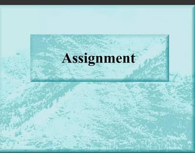 assignment writing