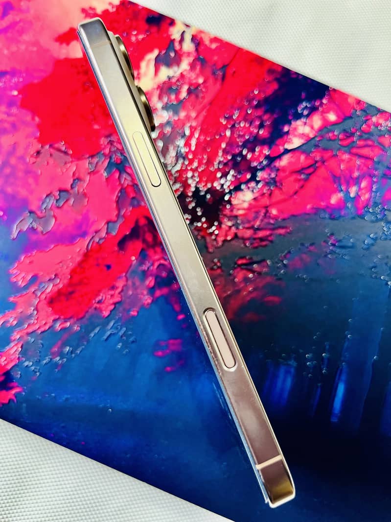Apple iPhone 16 Pro Max 2