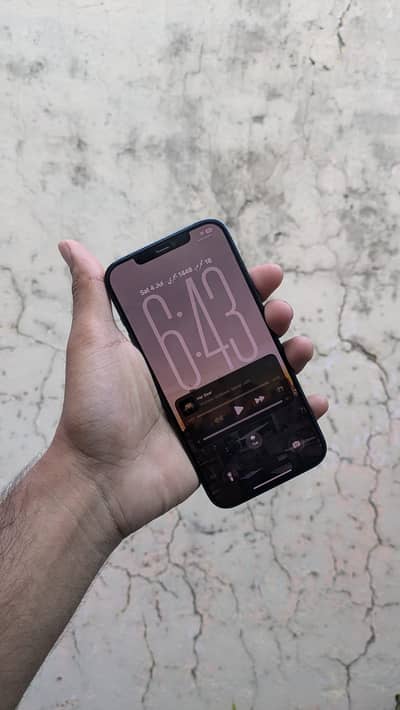 Apple iPhone 12 Pro Max
