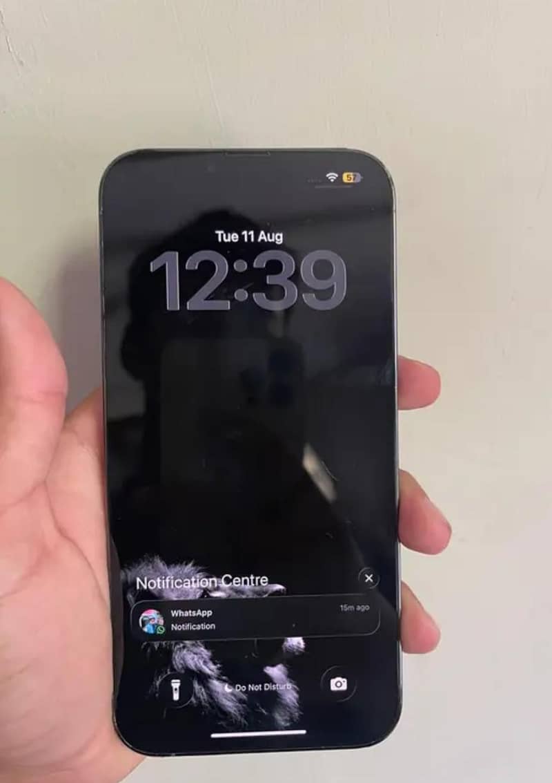 Apple iPhone 13 0