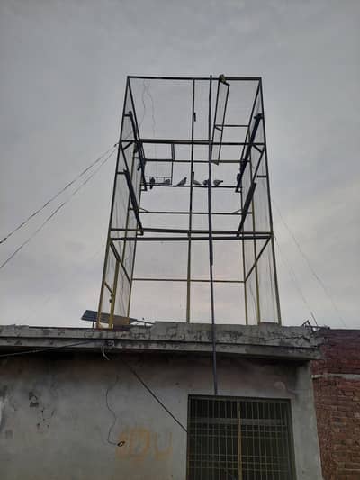 jal or kabotar for sale