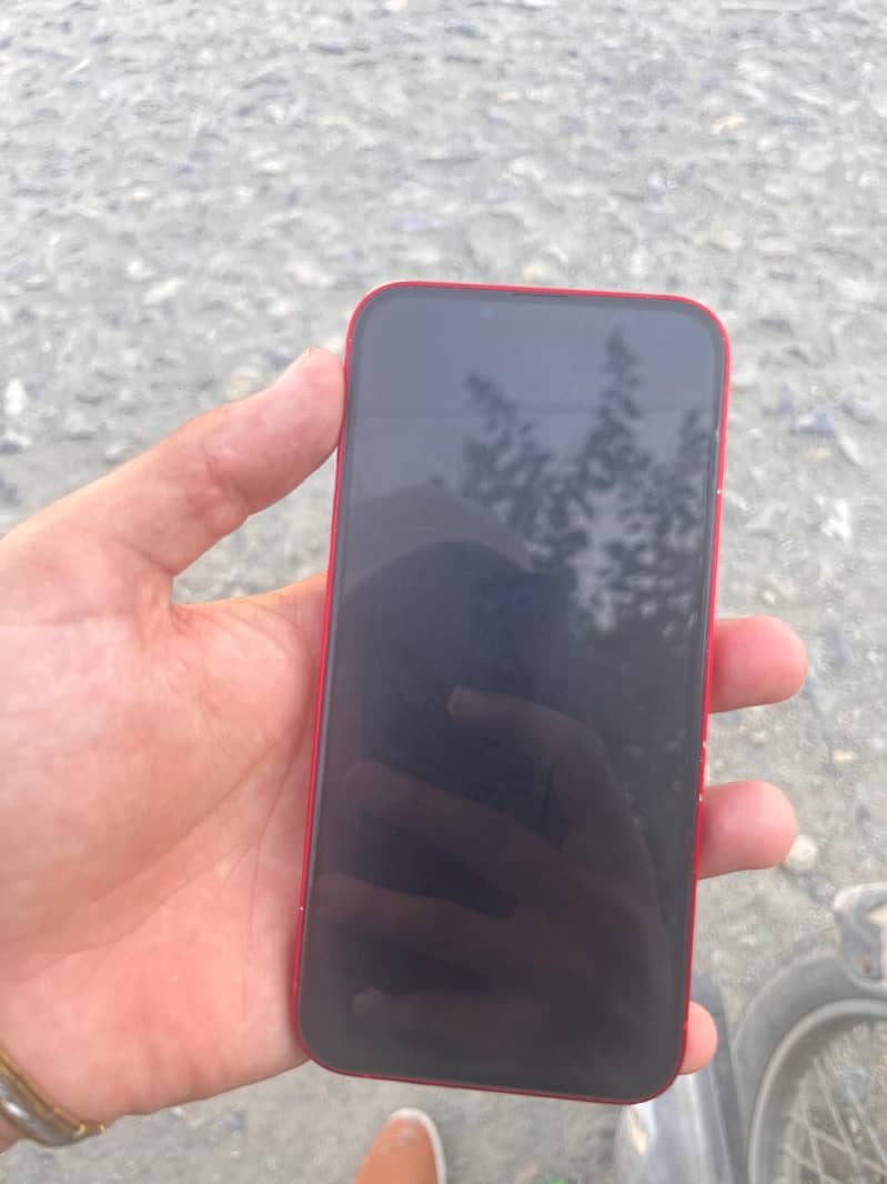 Apple iPhone 13 1