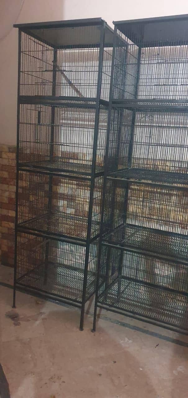 cages 5