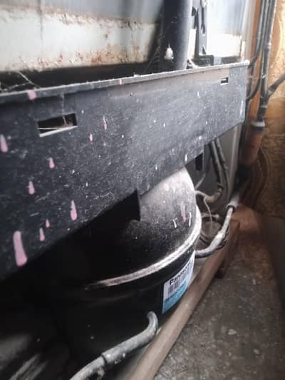 medium size refrigerator