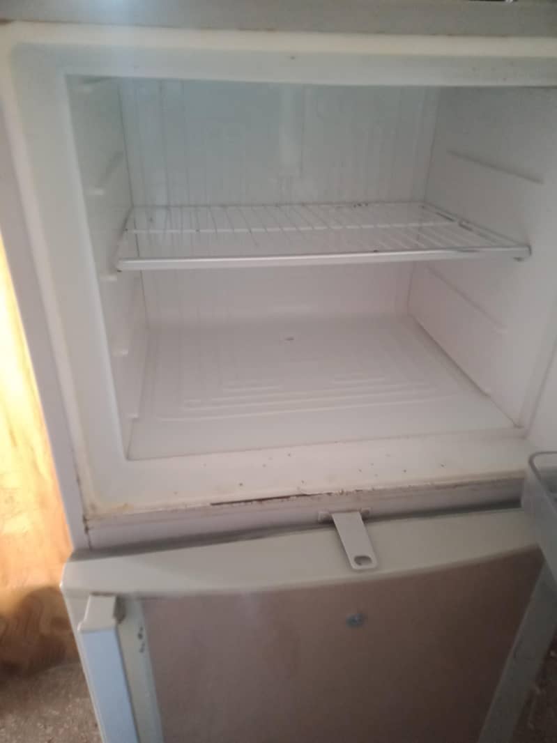 medium size refrigerator 6