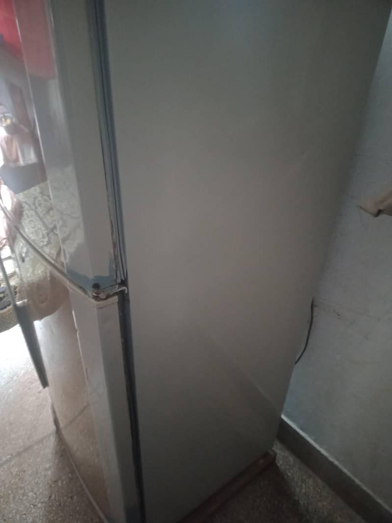 medium size refrigerator 11