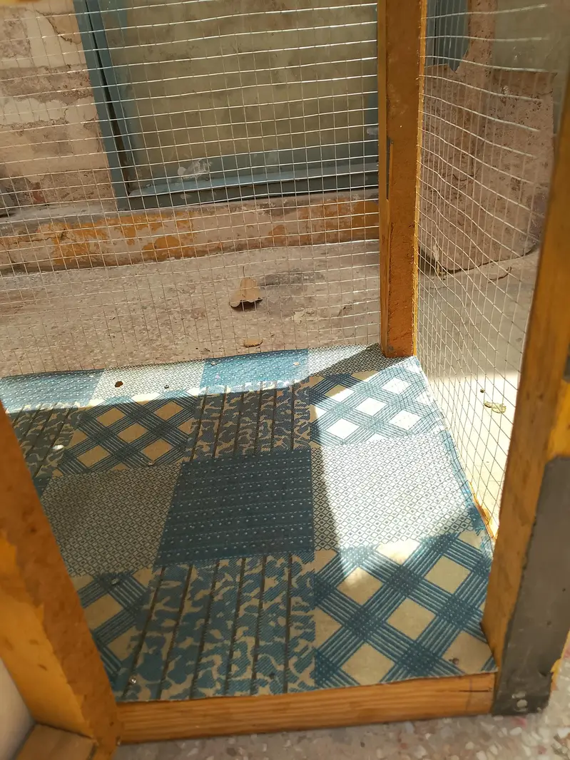 pure wooden cage — photo 4
