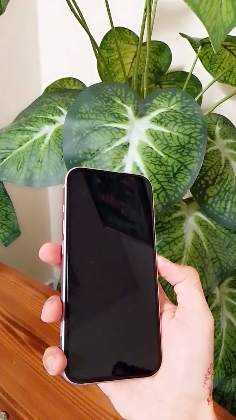 Apple iPhone 15 1