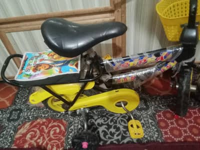 bicycle  kids