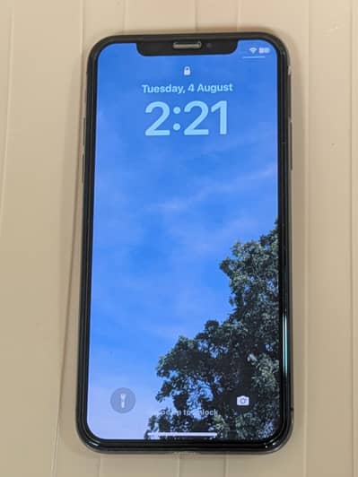 Apple iPhone X