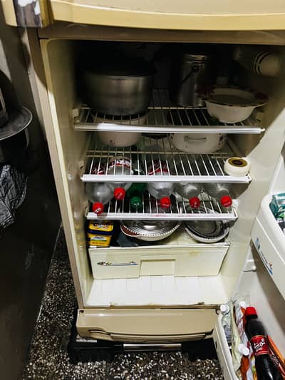 Pel refrigerator in best condition