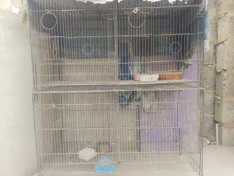 For sell — photo 2