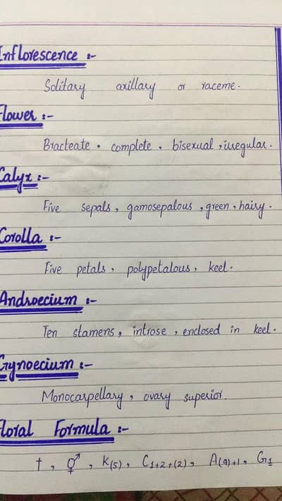 Assignment writing