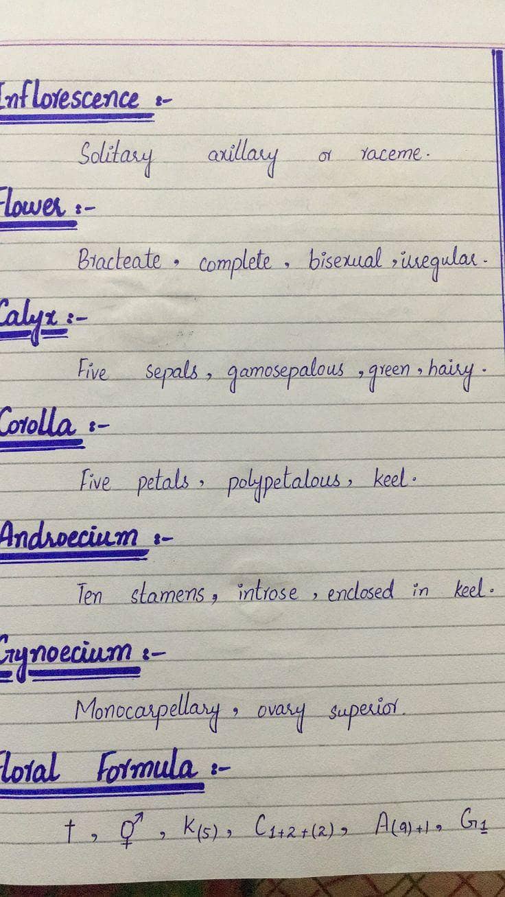 Assignment writing 0