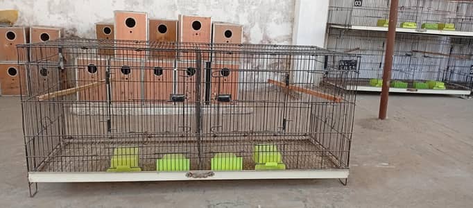 love birds cage