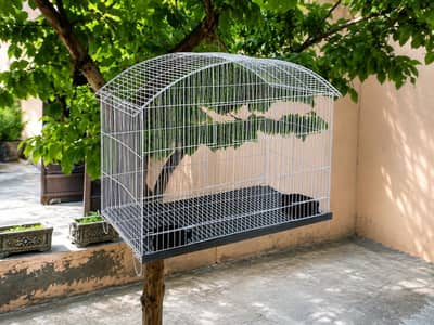 Parrot Cage / Bird Cage (Pinjra) for sale.