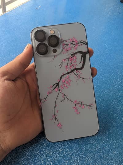 Apple iPhone 13 Pro Max