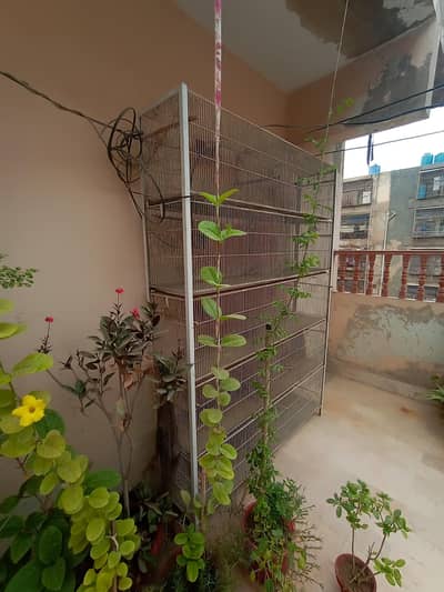 cage for sale 0/3/1/3/7/1/4/5/4/1/4