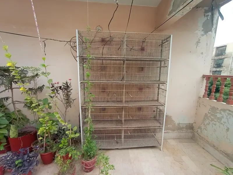 cage for sale 0/3/1/3/7/1/4/5/4/1/4 — photo 2