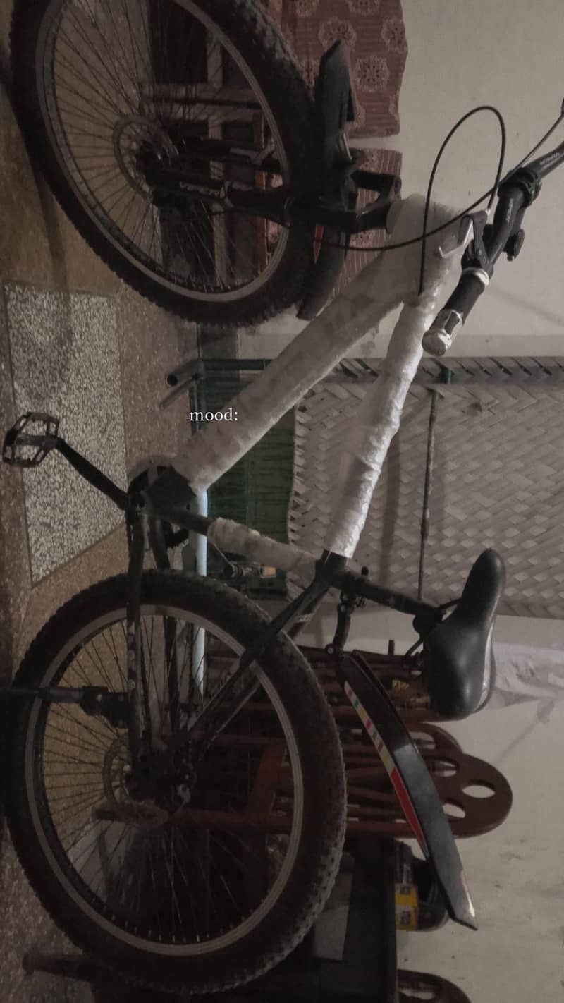 bicycle 0