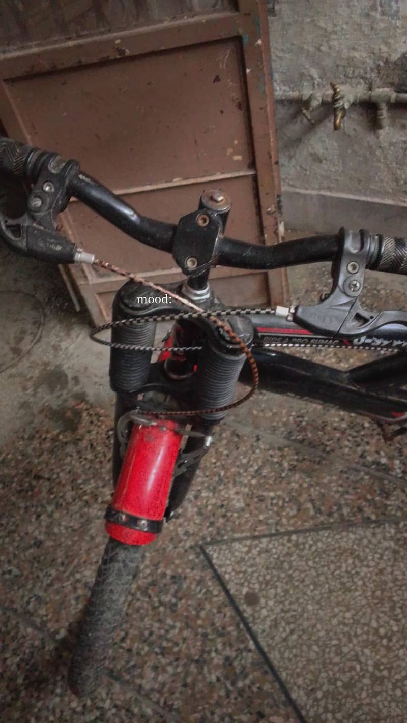 bicycle 2