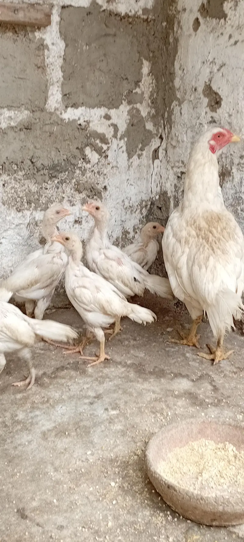 03, 34,01,28,9,61 what's nambar.      03, 322,45,39,36 phone number — photo 3