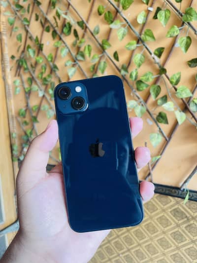 Iphone 13 pta approved