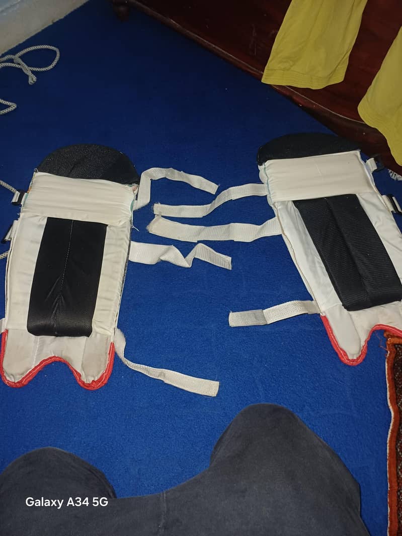 cricket pads 1