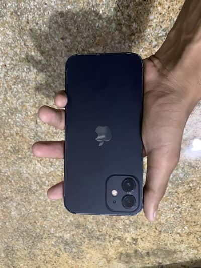 Apple iPhone 12