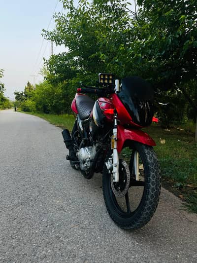 ybr2019