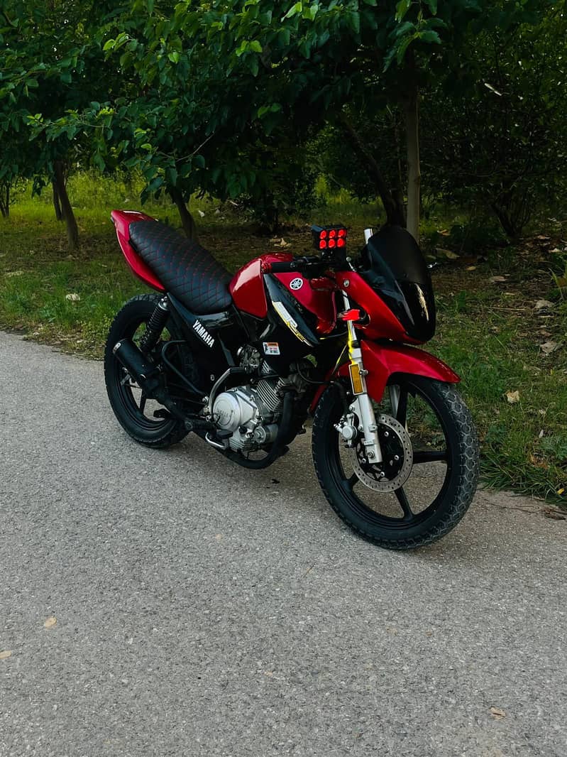 ybr2019 2