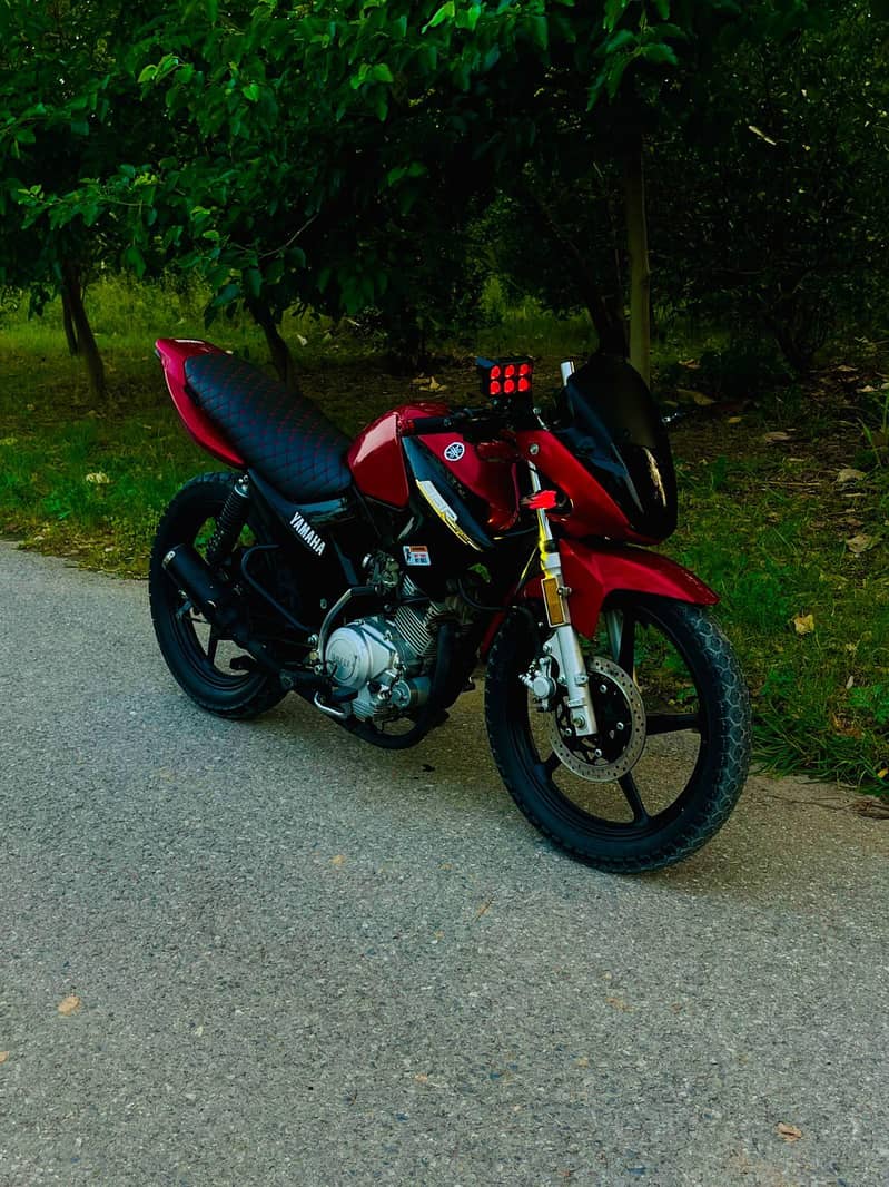 ybr2019 3