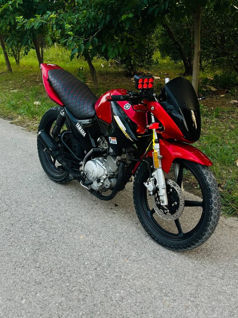 ybr2019 4
