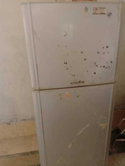Pell refrigerator Desire Infinite
