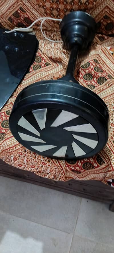 Royal fan