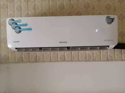 Electroluxs DC inverter organial condition