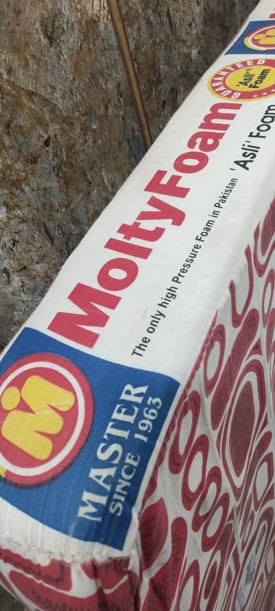 master moltyfoam nanhi pari single mattress