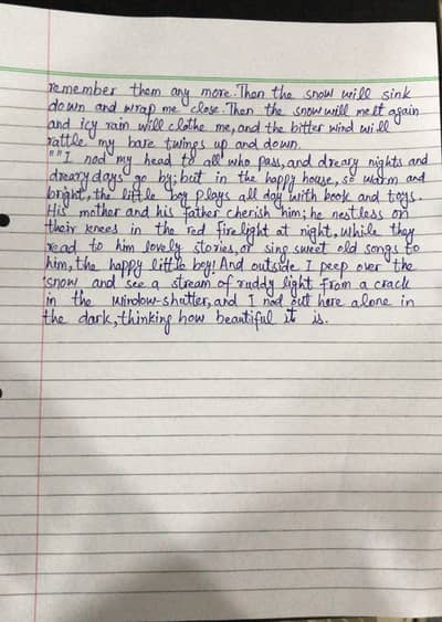 Assignment Writing