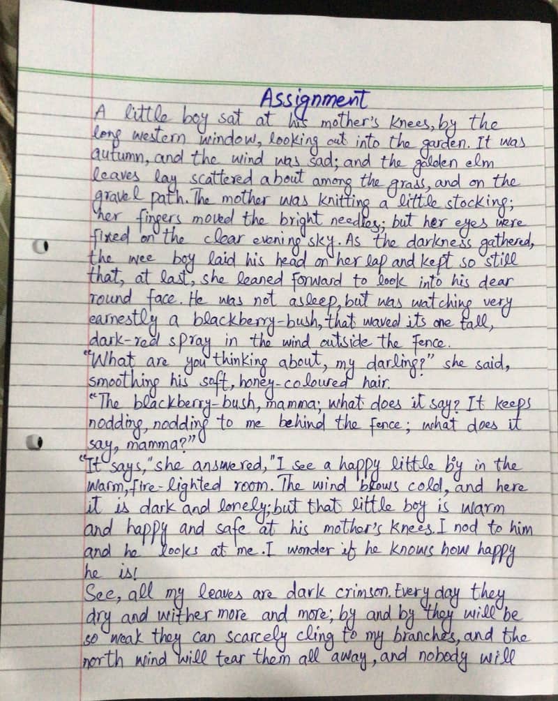 Assignment Writing 1