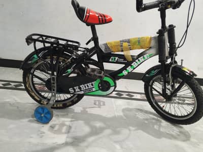 cycle 16 number