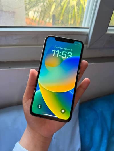 Apple iPhone X